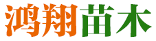 南縣鴻翔苗木種植專(zhuān)業(yè)合作社